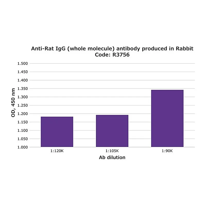 Merck Anti-Rat IgG (whole molecule) antibody produced in rabbit