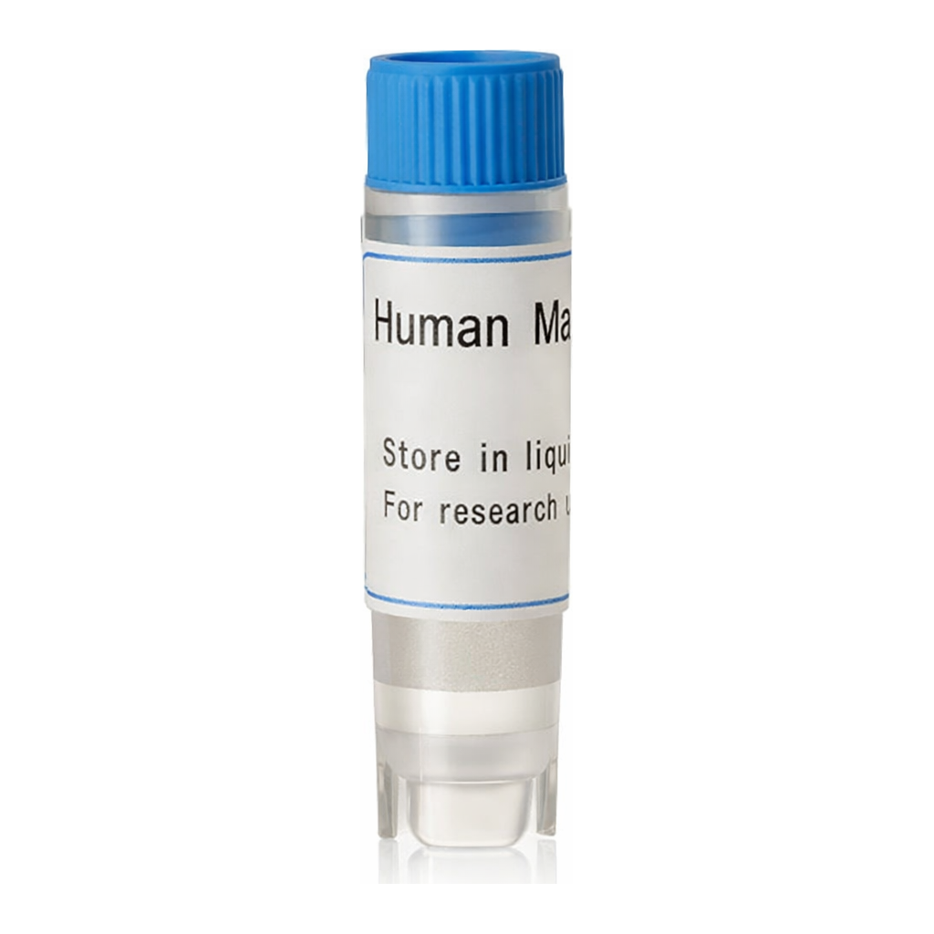 Thermo Fisher Scientific Human MATE1 (G) SLC Transporter Cells