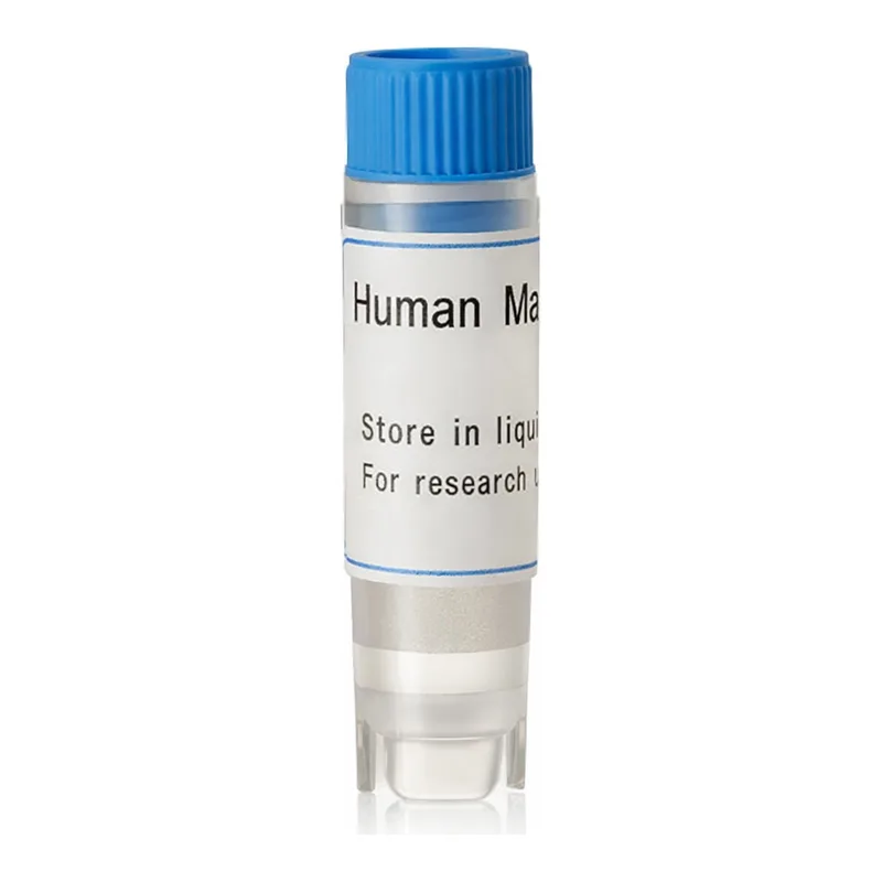 Thermo Fisher Scientific Human MATE1 (G) SLC Transporter Cells