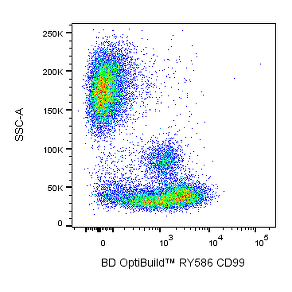 BD RY586 Mouse Anti-Human CD99