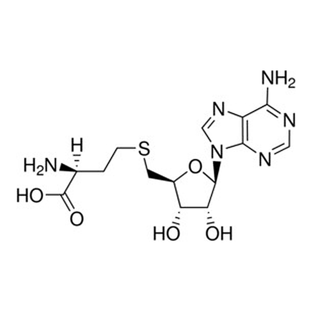 Merck S-ADENOSYL-L-HOMOCYSTEINE