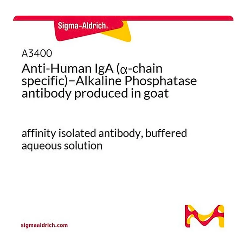 Merck Anti-Human IgA (alpha-chain specific)-Alkaline Phosphatase antibody produced in goat