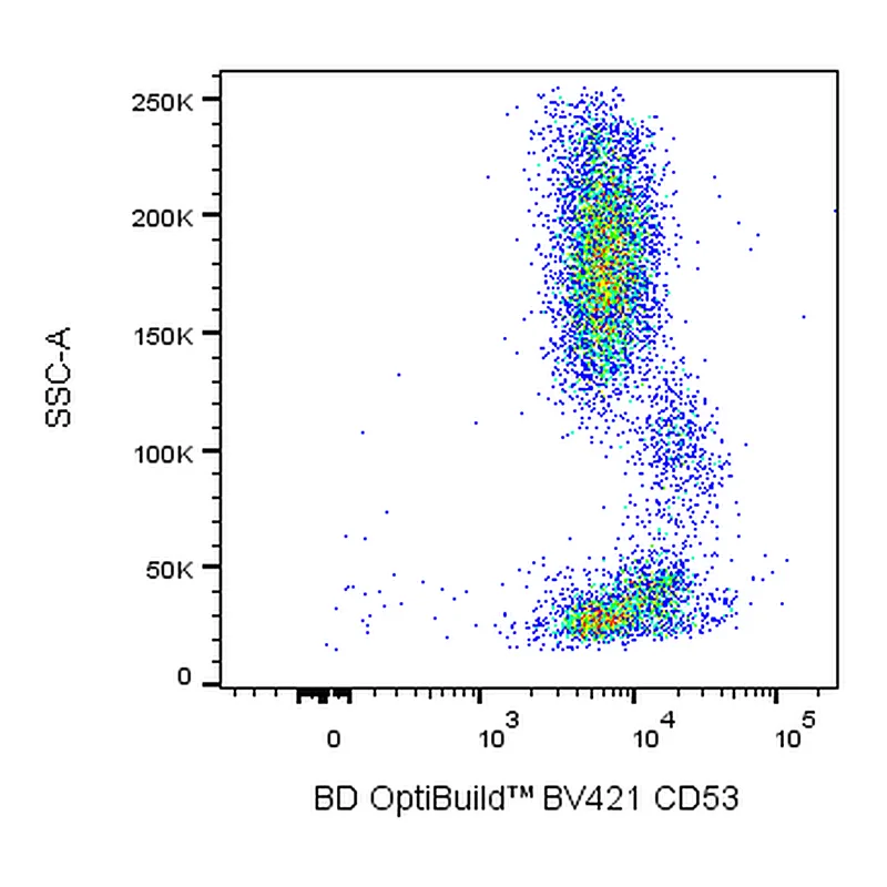 BD BV421 Mouse Anti-Human CD53