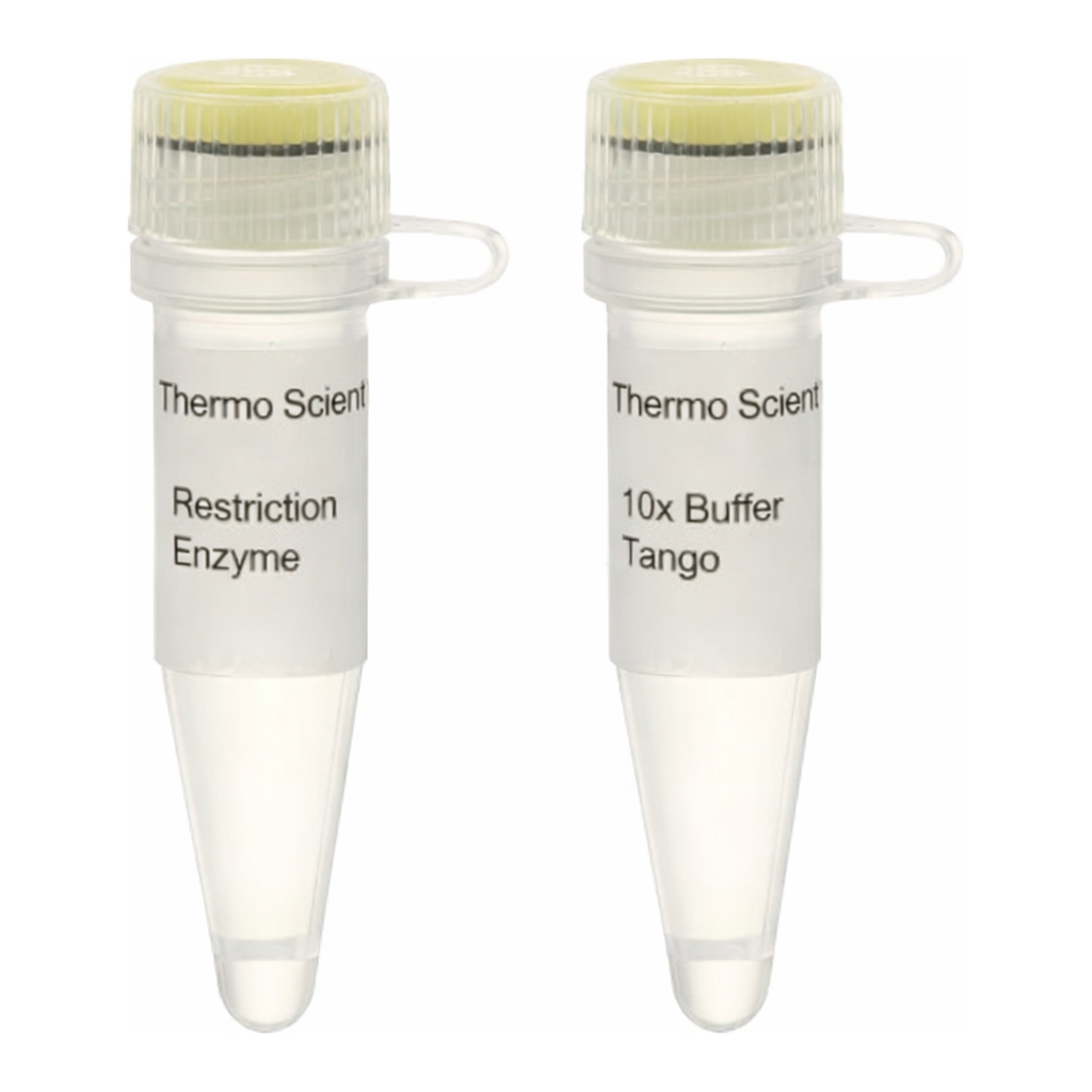 Thermo Fisher Scientific Eco105I (SnaBI) (10 U/&mu;L), 600 units