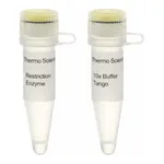 Thermo Fisher Scientific Eco105I (SnaBI) (10 U/μL), 600 units