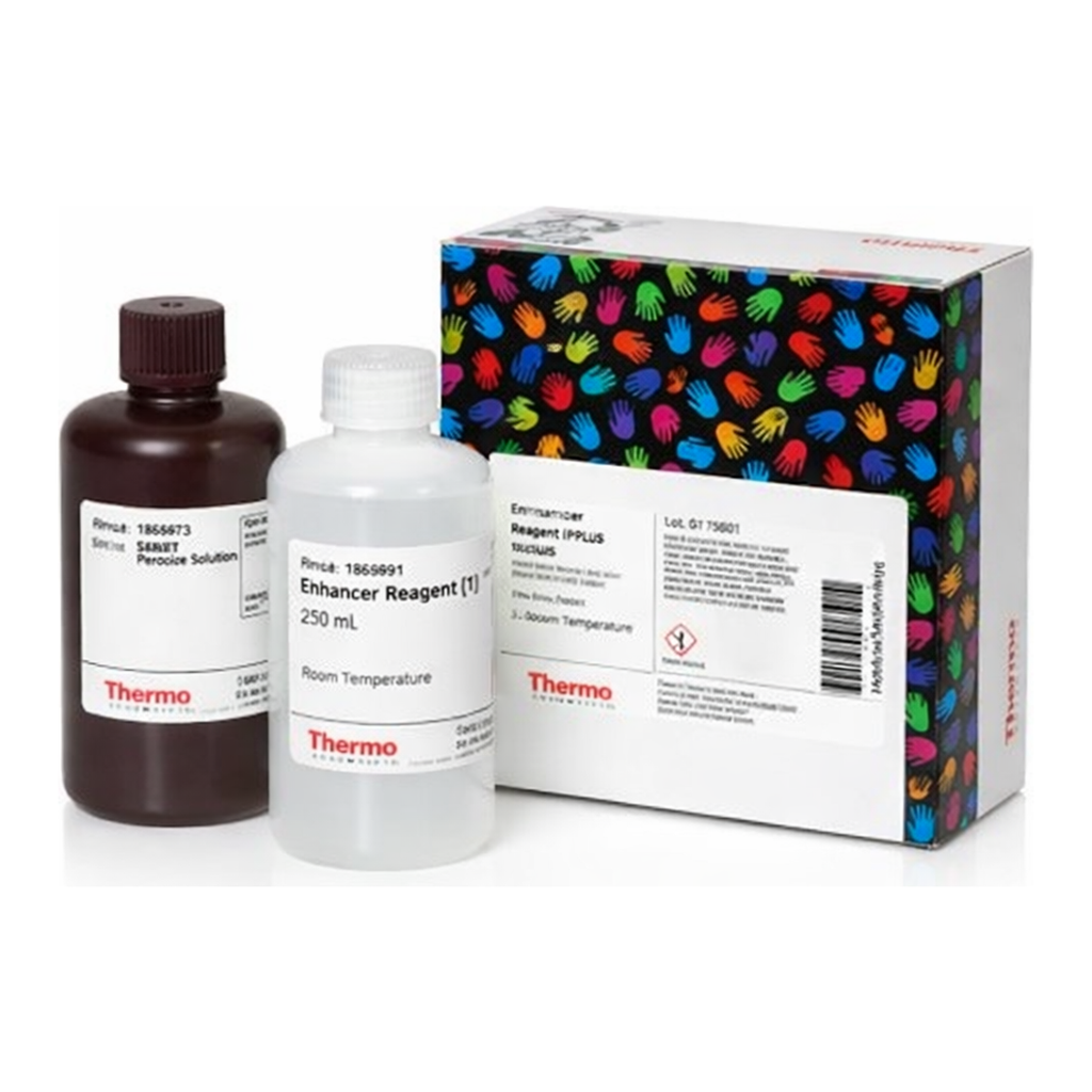 Thermo Fisher Scientific Pierce Western Blot Signal Enhancer