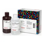 Thermo Fisher Scientific Pierce Western Blot Signal Enhancer