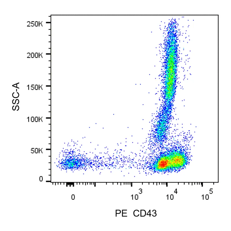 BD PE Mouse Anti-Human CD43