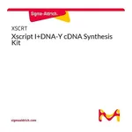 Merck Xscript I+DNA-Y cDNA Synthesis Kit