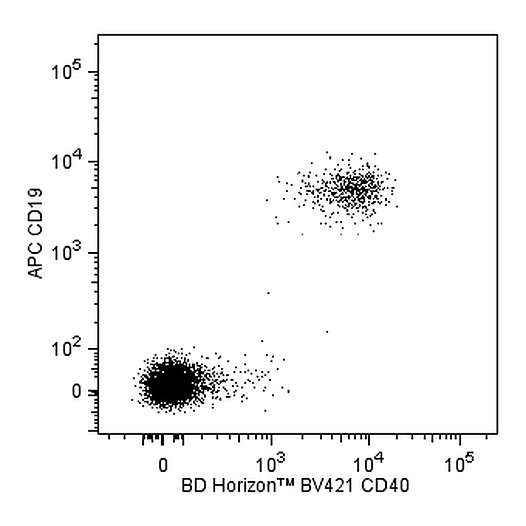 BD BV421 Mouse Anti-Human CD40