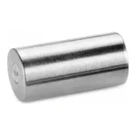 Waters SunFire C8 Sentry Guard Cartridge, 100Å, 5 µm, 4.6 mm X 20 mm, 2/pk
