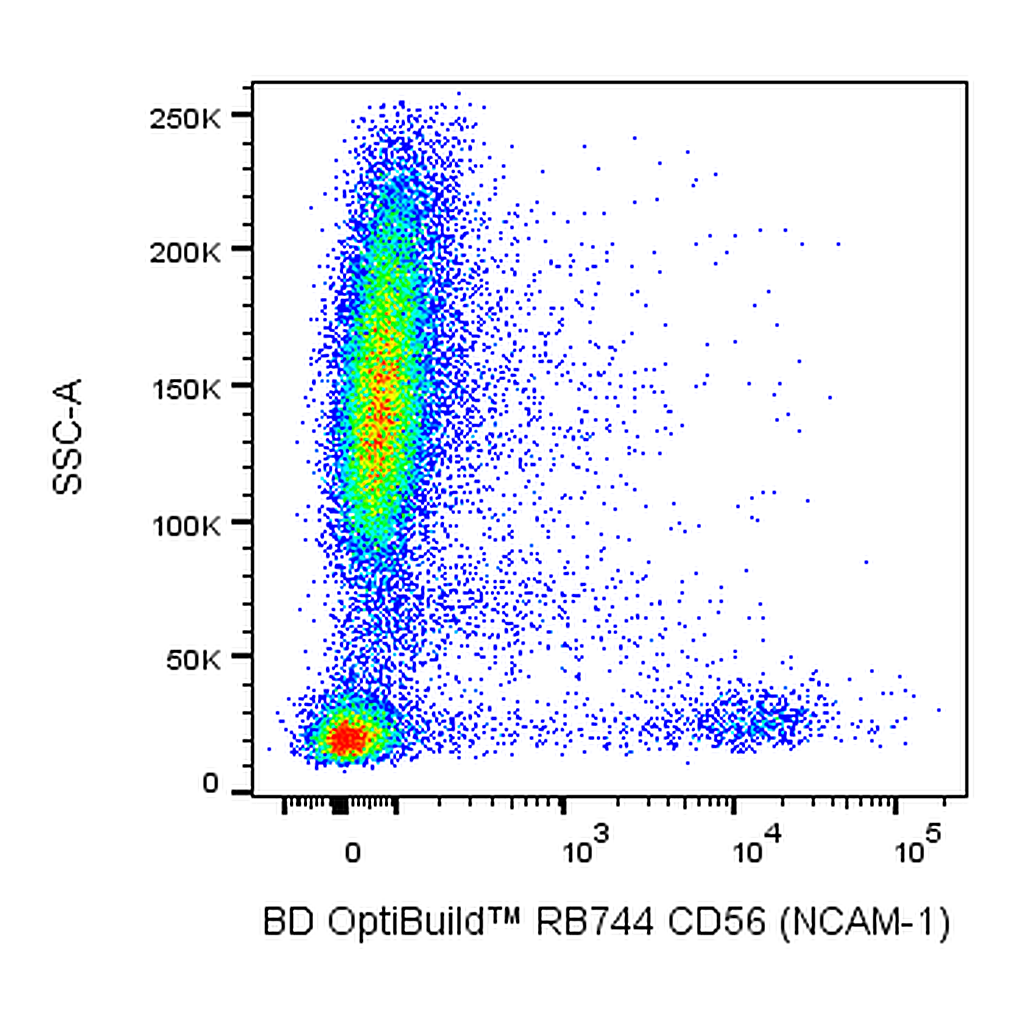 BD RB744 Mouse Anti-Human CD56 (NCAM-1)