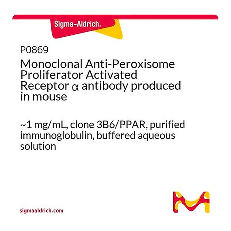 Merck Monoclonal Anti-Peroxisome Proliferator Activated Receptor alpha antibody produced in mouse