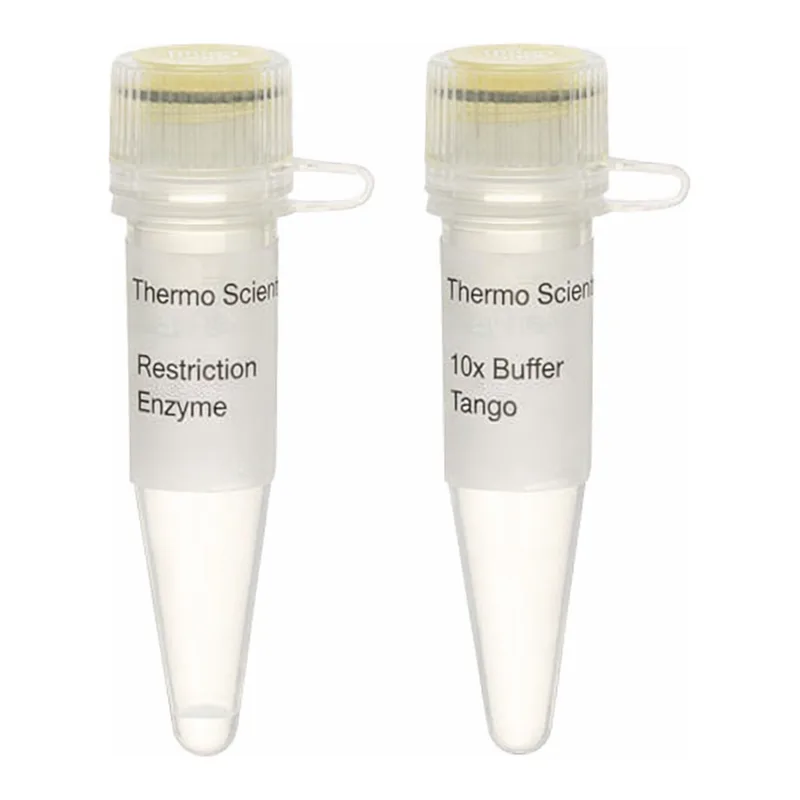 Thermo Fisher Scientific HpyF3I (DdeI) (10 U/μL), 500 units
