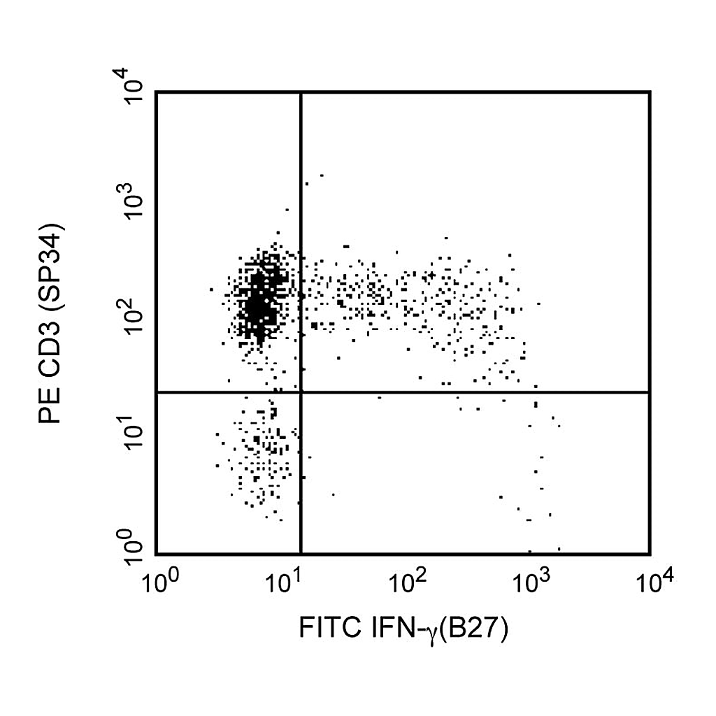 BD FITC Mouse Anti-Human IFN-γ