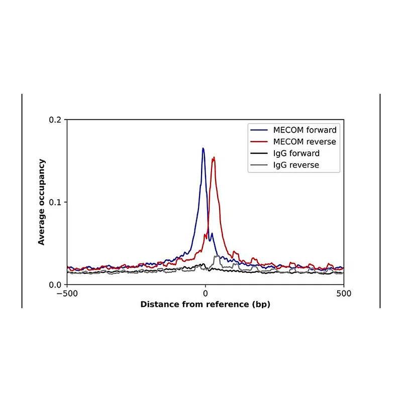 Merck Anti-MECOM antibody produced in rabbit