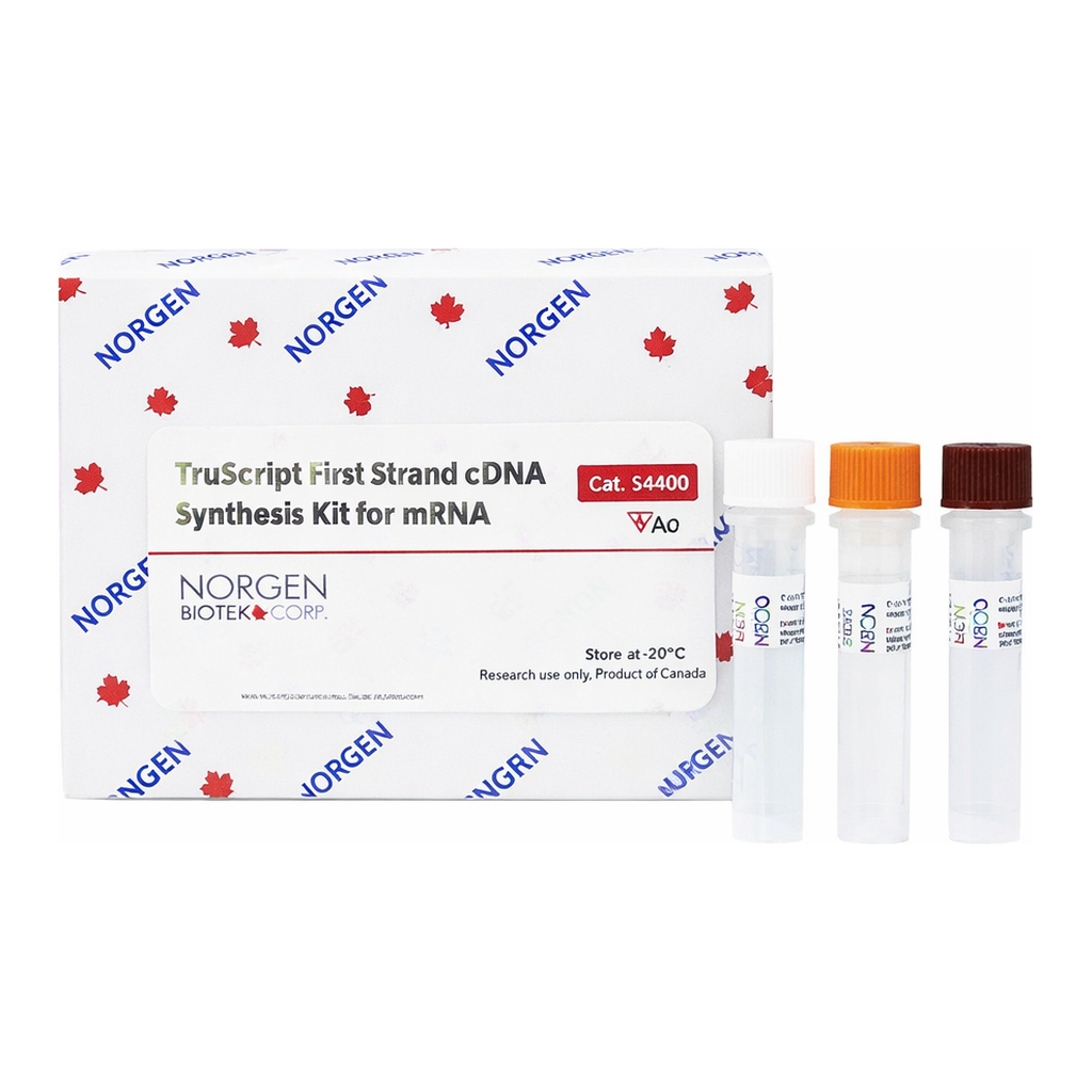 Norgen TruScript First Strand cDNA Synthesis Kit for mRNA