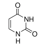 Merck URACIL
