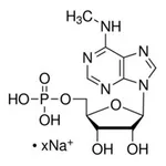 Merck N6-METHYLADENOSINE 5-MONOPHOSPHATE&