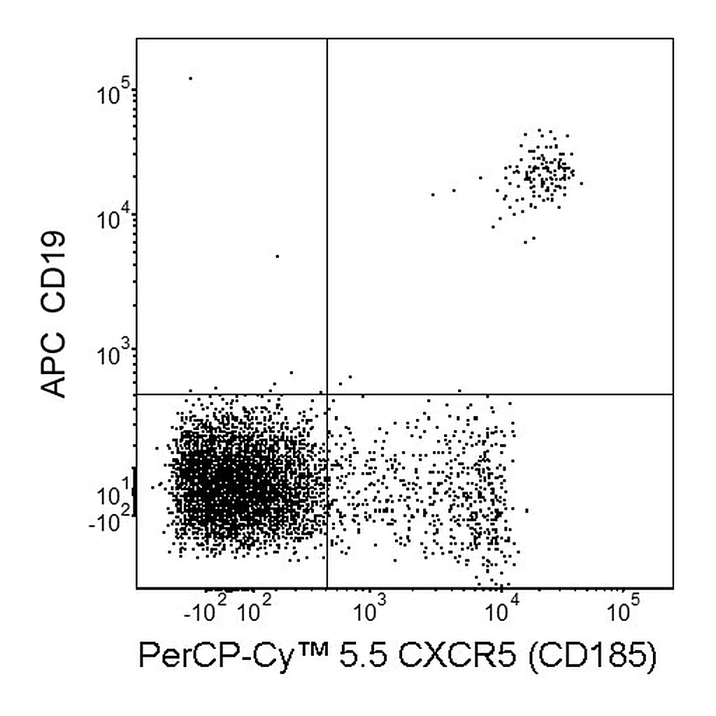 BD PerCP-Cy5.5 Rat Anti-Human CXCR5 (CD185)
