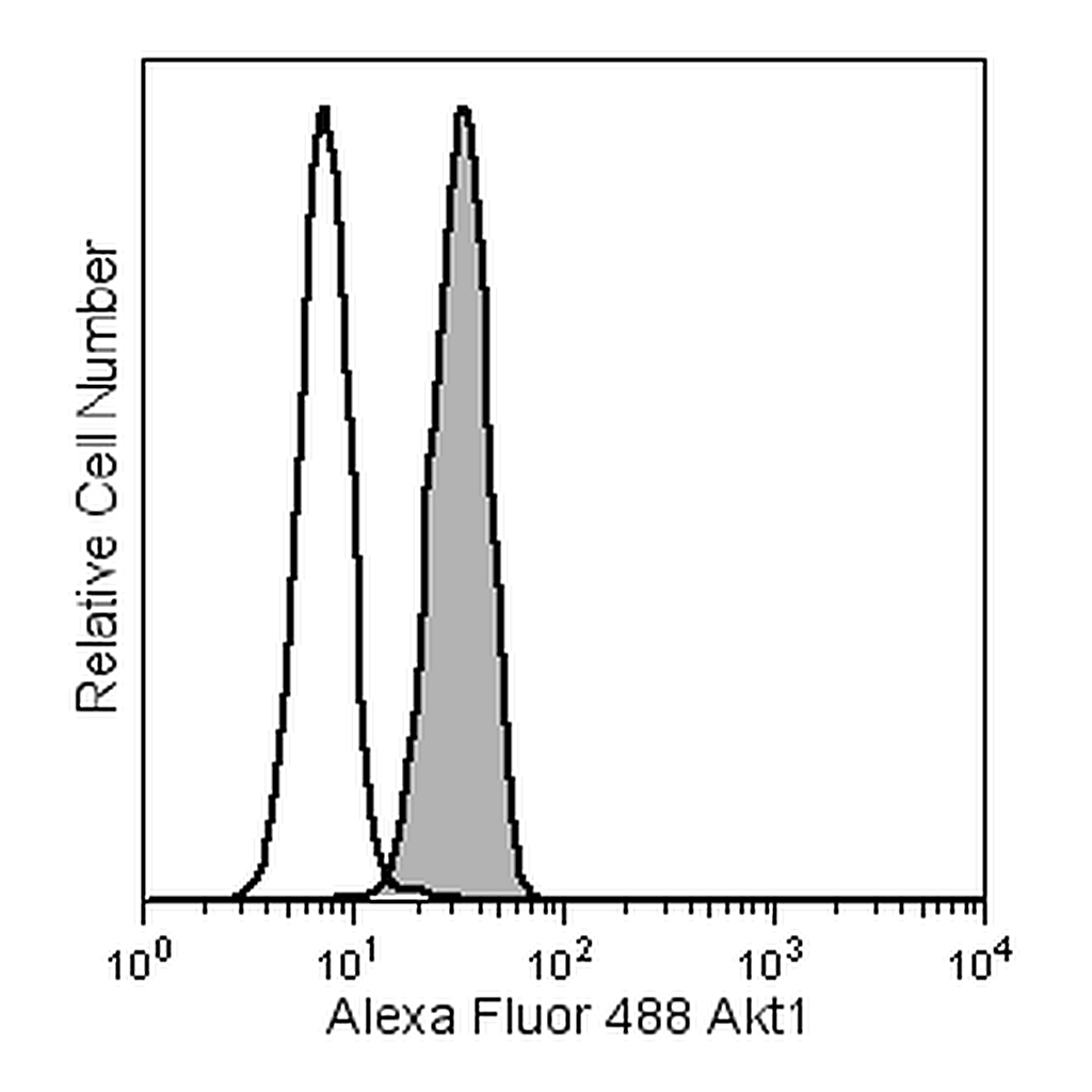 BD Alexa Fluor® 488 Mouse anti-Akt1