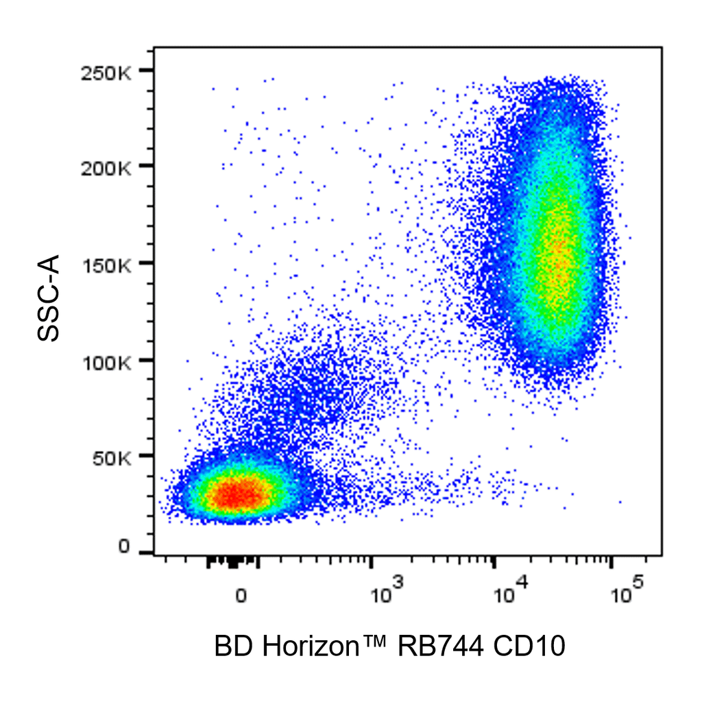 BD RB744 Mouse Anti-Human CD10