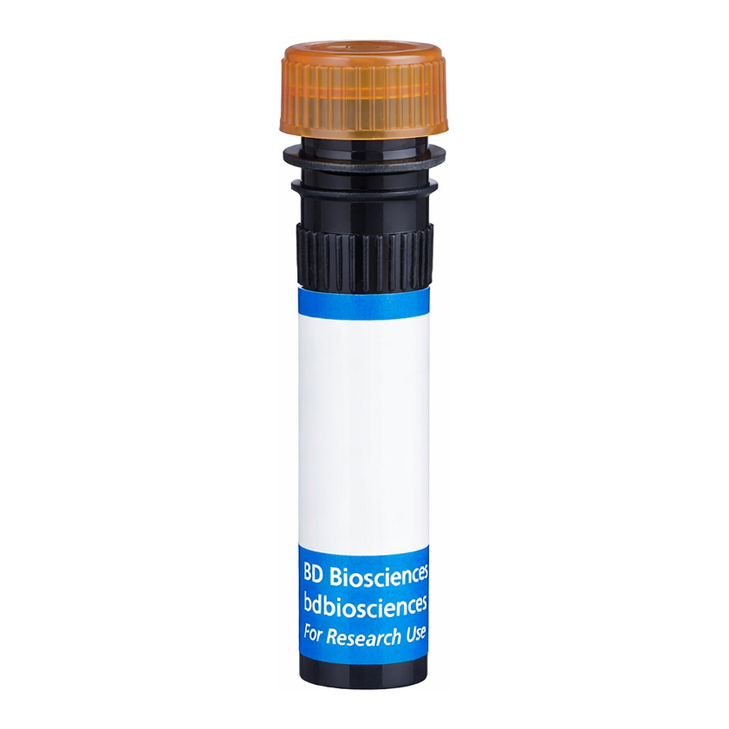 BD BB700 Rat IgG2b, κ Isotype Control