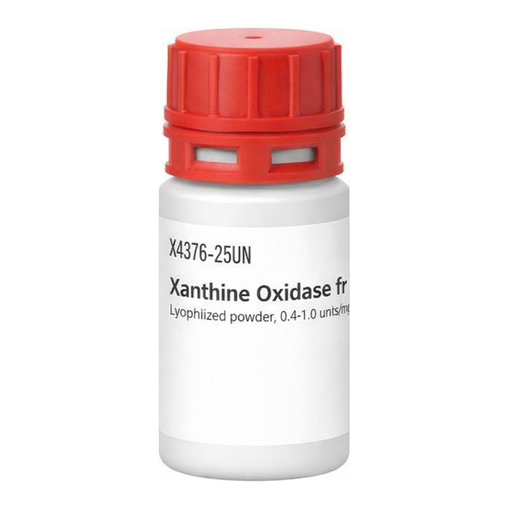 Merck Xanthine Oxidase from bovine milk