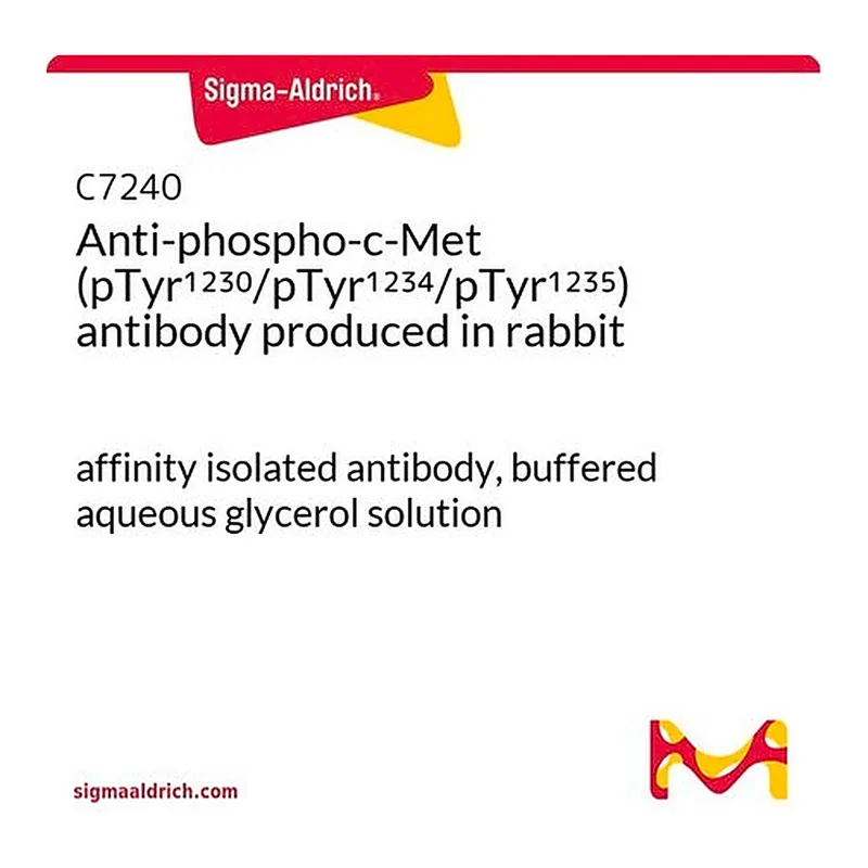 Merck Anti-phospho-c-Met (pTyr1230/pTyr1234/pTyr1235) antibody produced in rabbit