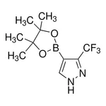 Merck 3-(Trifluoromethyl)-1H-pyrazole-4-boronic acid pinacol ester