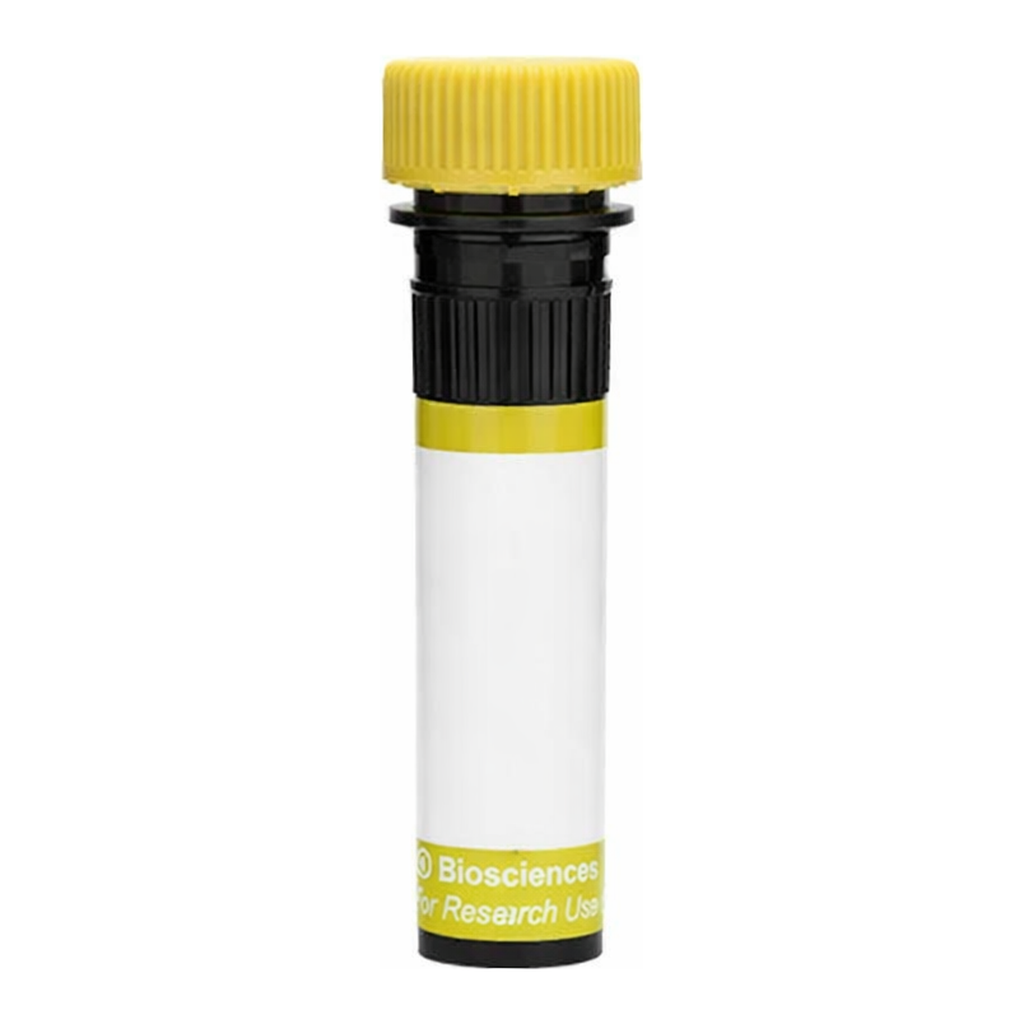 BD RY586 Mouse Anti-Human CD137