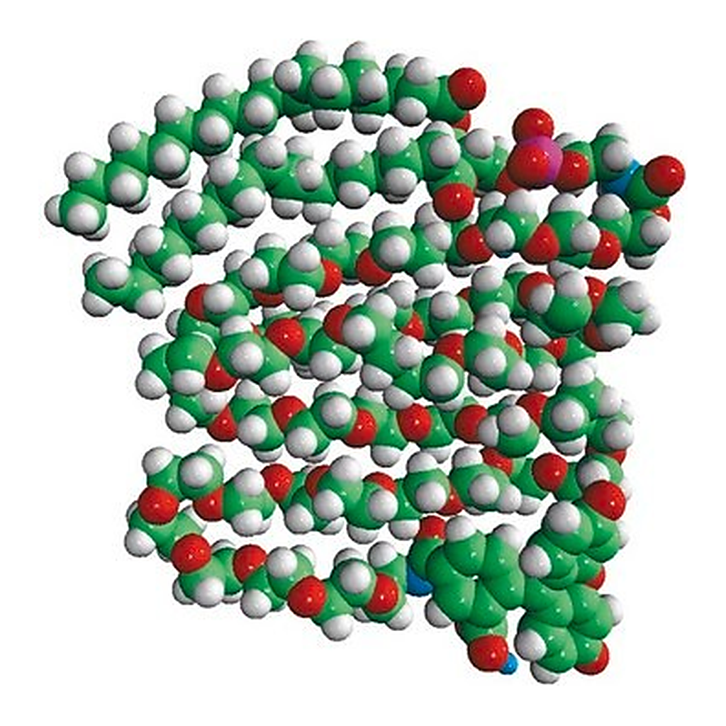 Merck 18:0 PEG2000 PE CF