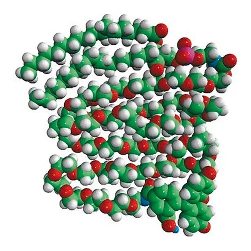 Merck 18:0 PEG2000 PE CF