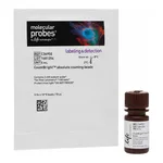 Thermo Fisher Scientific CountBright Absolute Counting Beads, for flow cytometry