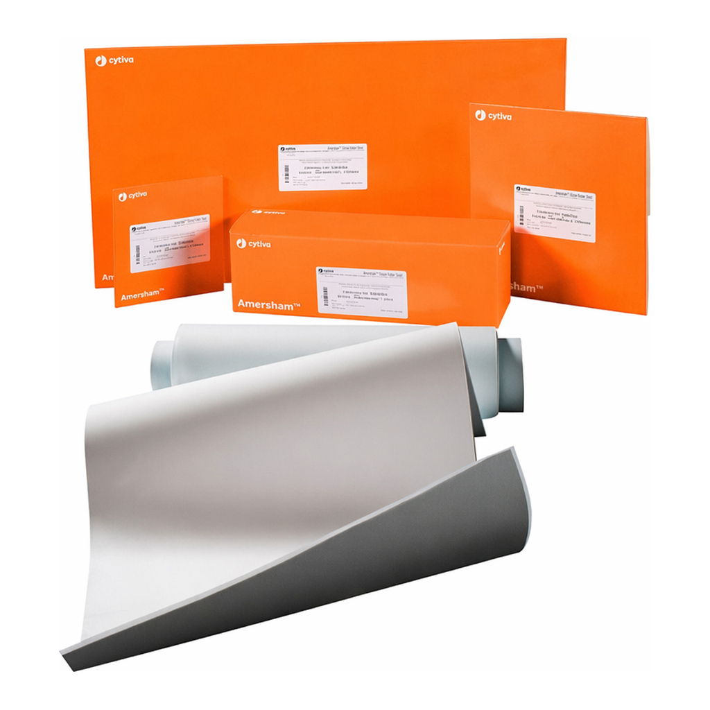 CYTIVA 10600060 / Hybond LFP 블라팅 멤브레인(Blotting Membrane), PVDF 0.2µm, 200x200mm[10EA/PK]