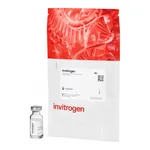 Thermo Fisher Scientific FluoSpheres Polystyrene Microspheres, 15 μm, yellow fluorescent (515/534), for blood flow determination