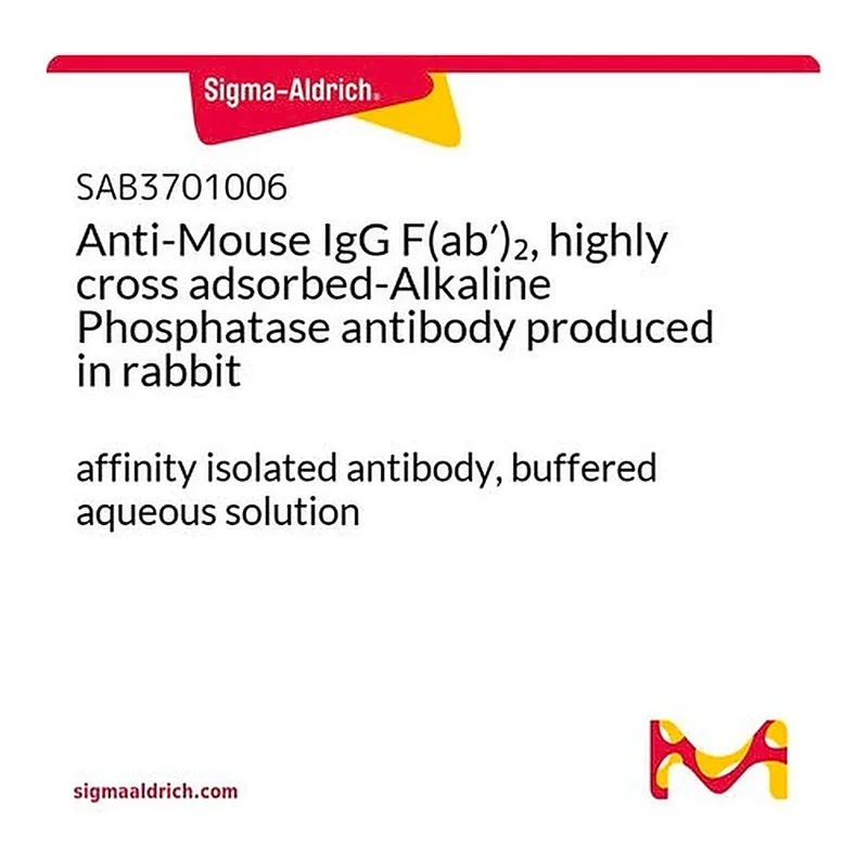 Merck Anti-Mouse IgG F(ab')2, highly cross adsorbed-Alkaline Phosphatase antibody produced in rabbit