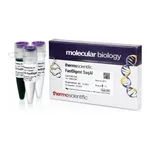 Thermo Fisher Scientific FastDigest SaqAI