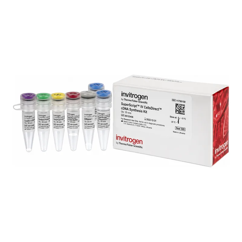 Thermo Fisher Scientific SuperScript IV CellsDirect cDNA Synthesis Kit, 50 reactions