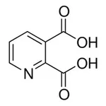 Merck 2,3-PYRIDINEDICARBOXYLIC ACID, 99%