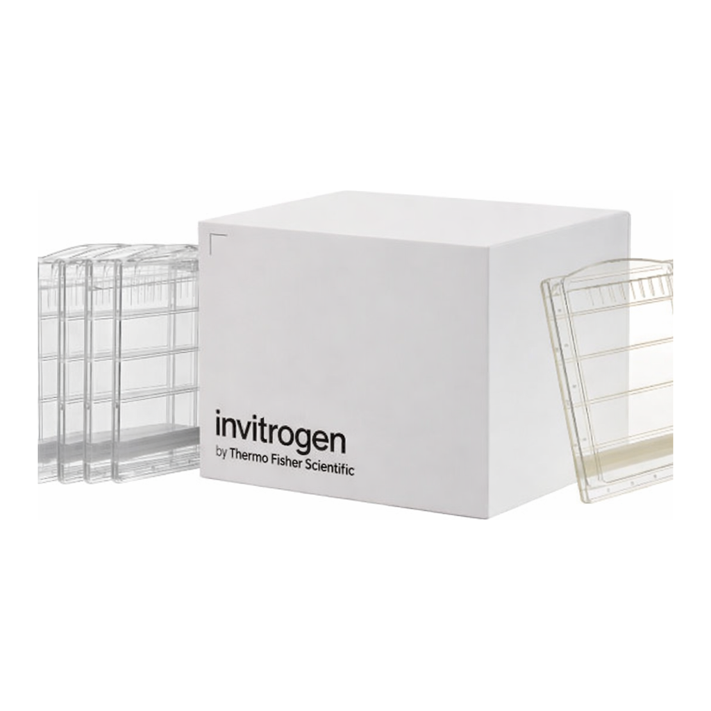 Thermo Fisher Scientific Novex Value Tris-Glycine Mini Protein Gel, 4 to 20%, 1.0 mm, 15-well