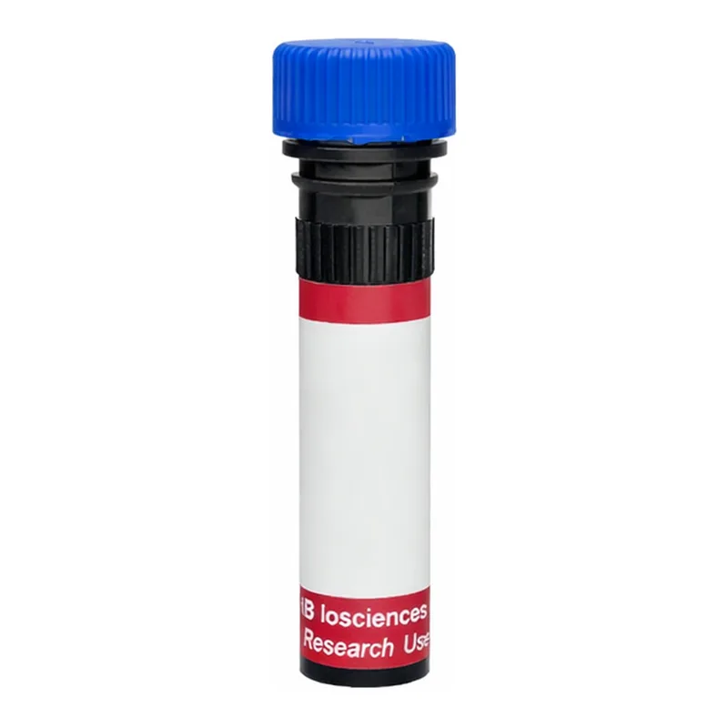 BD R718 Mouse Anti-Rat β2 Microglobulin