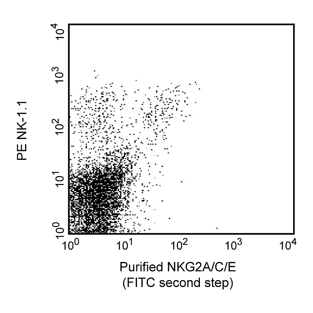 BD Purified Rat Anti-Mouse NKG2A/C/E