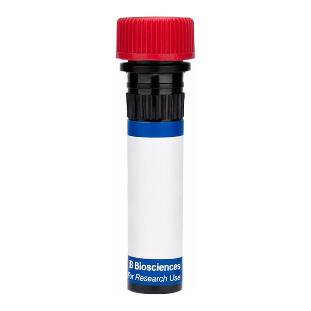 BD RB670 Hamster Anti-Mouse CD29 (Integrin β1)