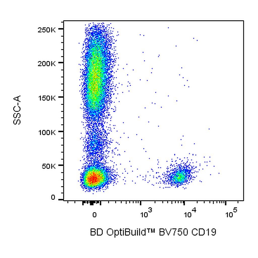 BD BV750 Mouse Anti-Human CD19