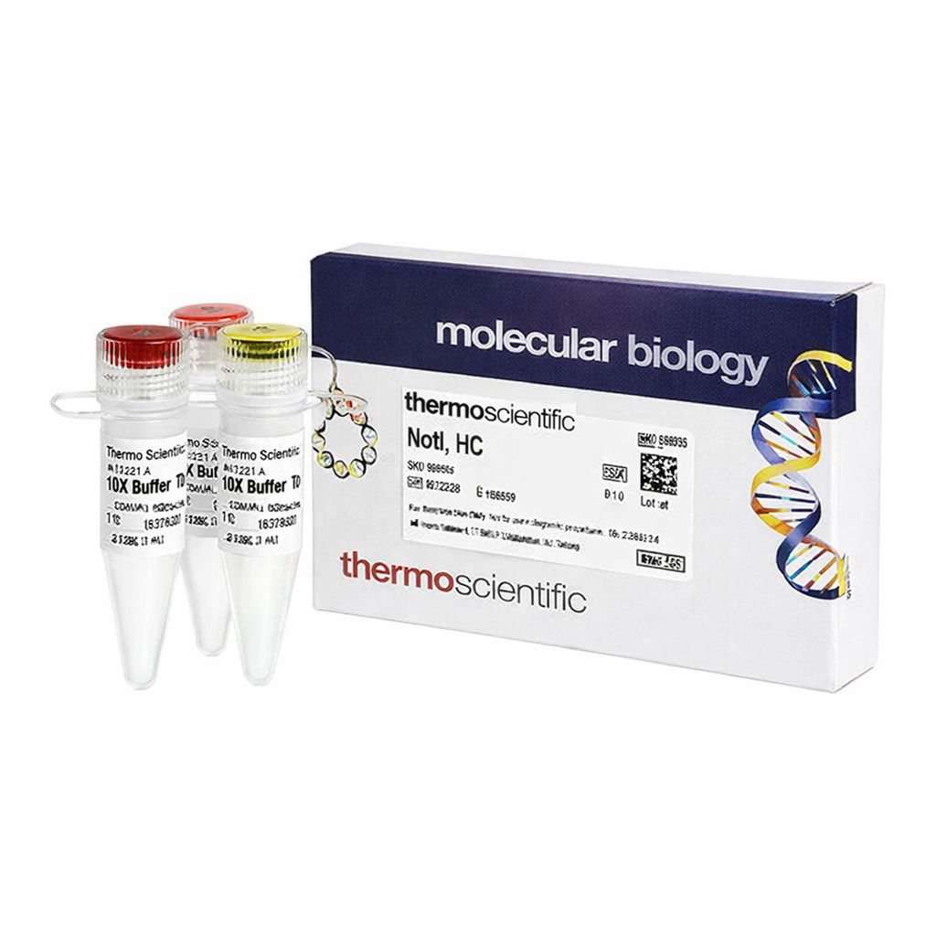 Thermo Fisher Scientific NotI, HC (50 U/&mu;L)