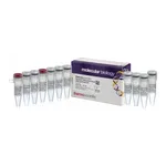 Thermo Fisher Scientific RevertAid H Minus First Strand cDNA Synthesis Kit, 20 reactions