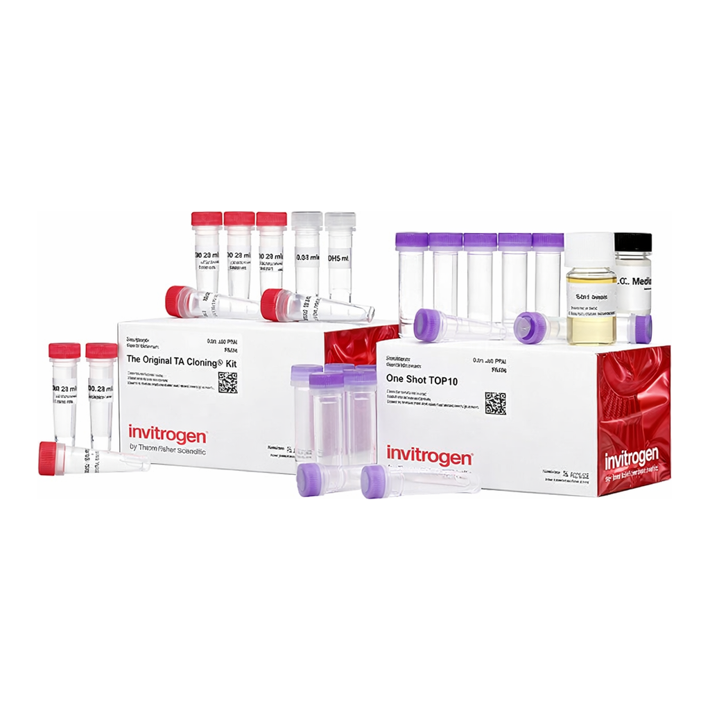 Thermo Fisher Scientific TA Cloning Kit, with pCR2.1 Vector and One Shot TOP10 Chemically Competent E. coli, 20 reactions