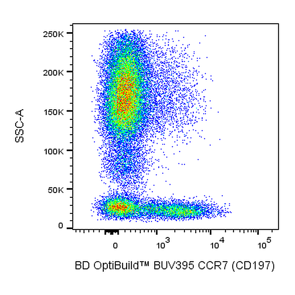 BD BUV395 Rat Anti-Human CCR7 (CD197)