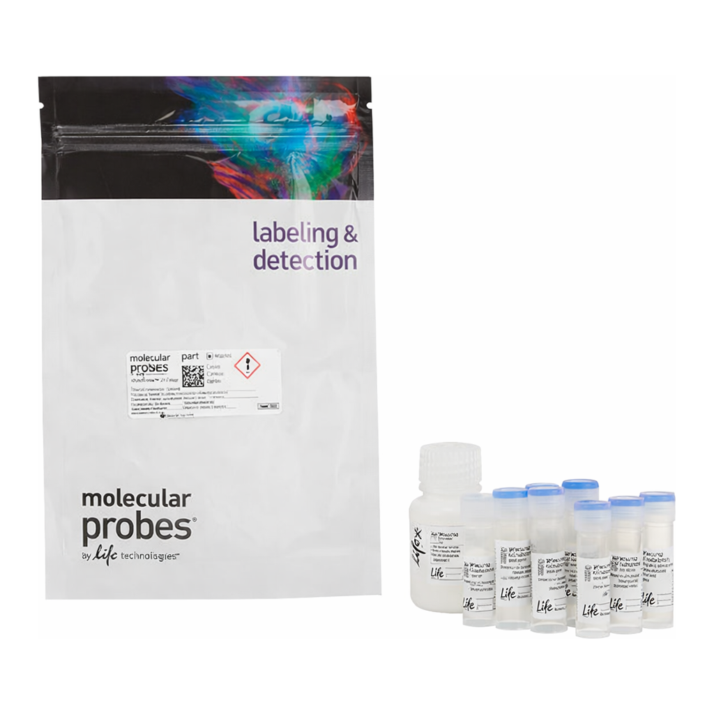 Thermo Fisher Scientific MitoProbe JC-1 Assay Kit
